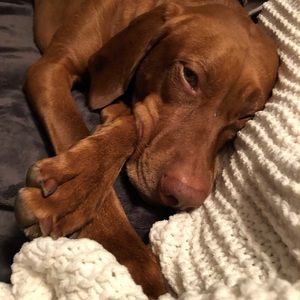 Meet your Posher, Natasha